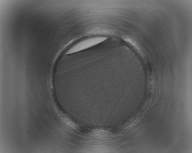 X0000069810399200606021510