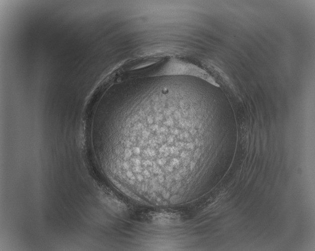 X0000069810400200606021510