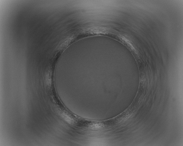 X0000069810402200606021510