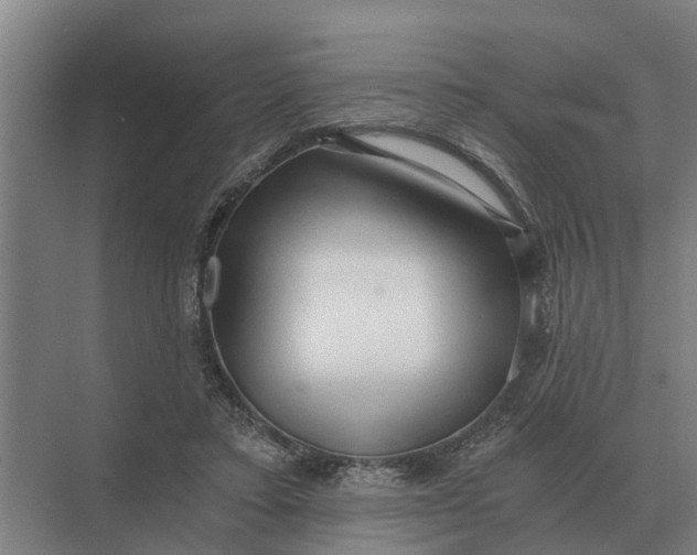 X0000069810403200606021510