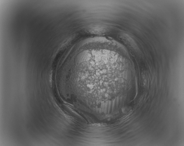 X0000069810404200606021510