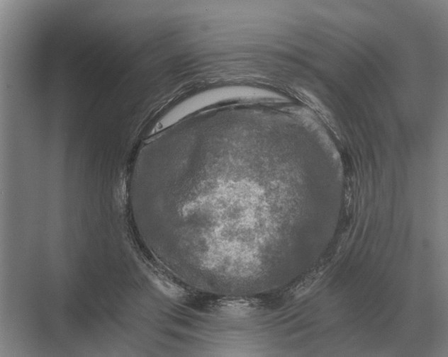 X0000069810405200606021510