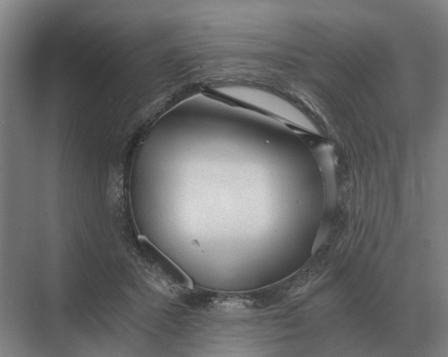 X0000069810407200606021510