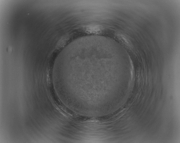 X0000069810408200606021510