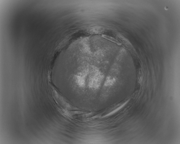 X0000069810409200606021510