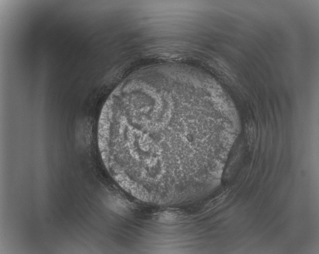 X0000069810412200606021510