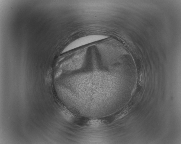 X0000069810413200606021510