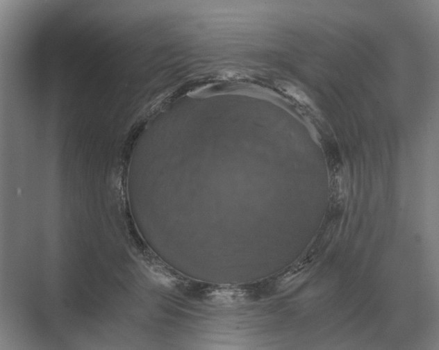 X0000069810415200606021510