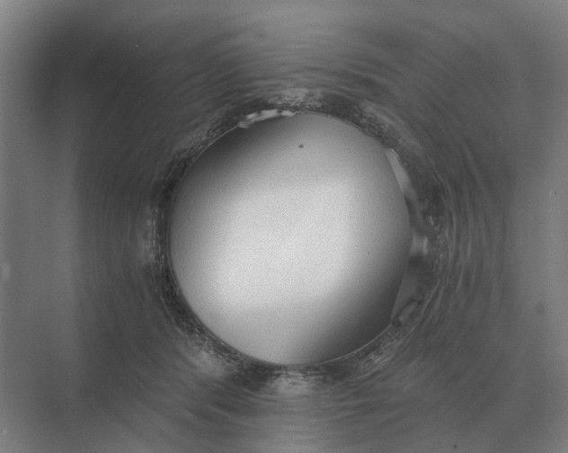 X0000069810416200606021510