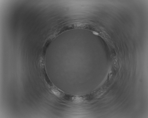 X0000069810419200606021510