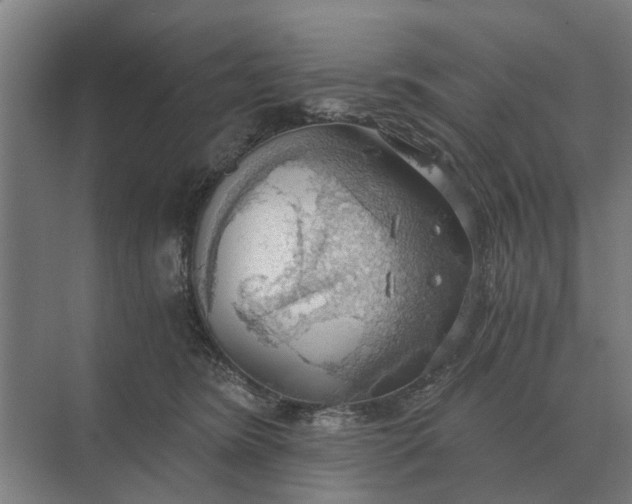 X0000069810420200606021510