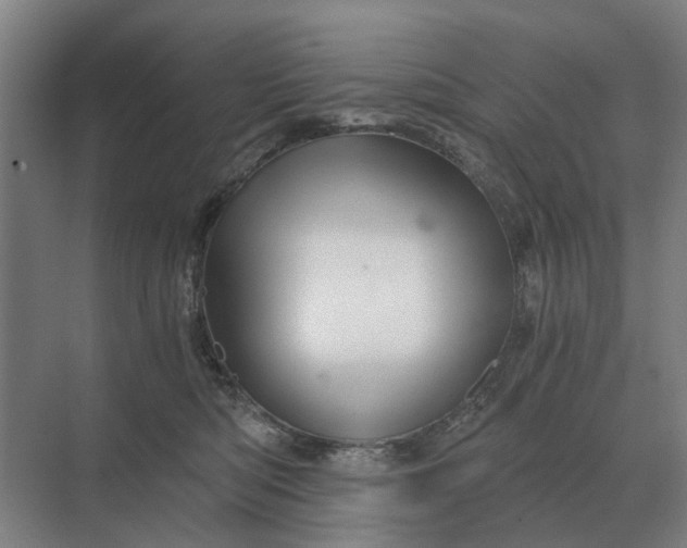 X0000069810422200606021510