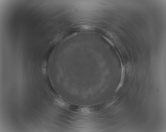 X0000069810423200606021510