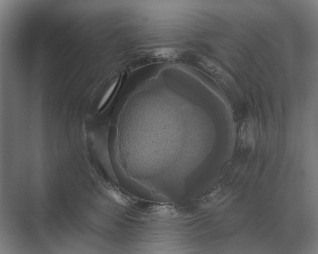 X0000069810424200606021510