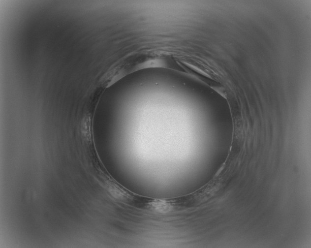 X0000069810425200606021510