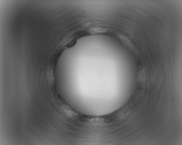 X0000069810426200606021510