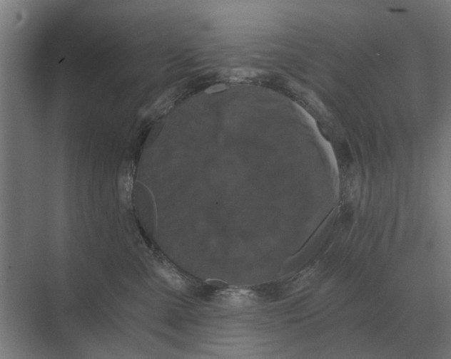 X0000069810427200606021510