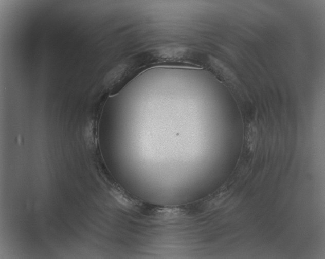 X0000069810428200606021510