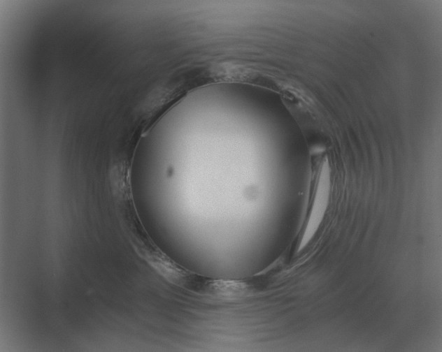 X0000069810429200606021510