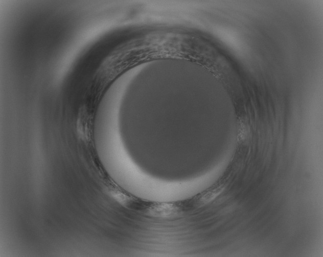 X0000069810431200606021510