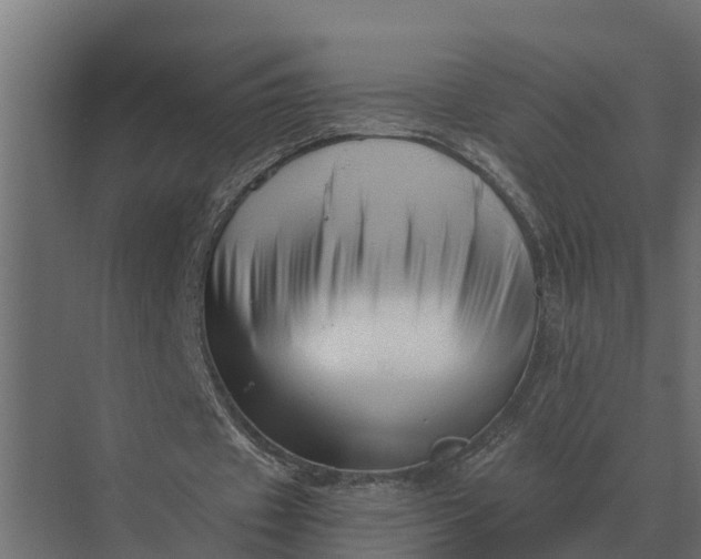 X0000069810433200606021509