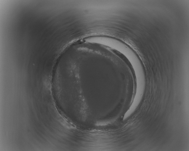 X0000069810434200606021509