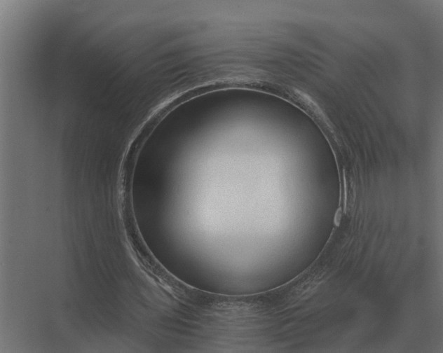 X0000069810435200606021509