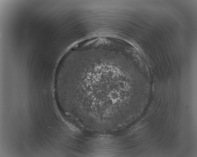 X0000069810438200606021509