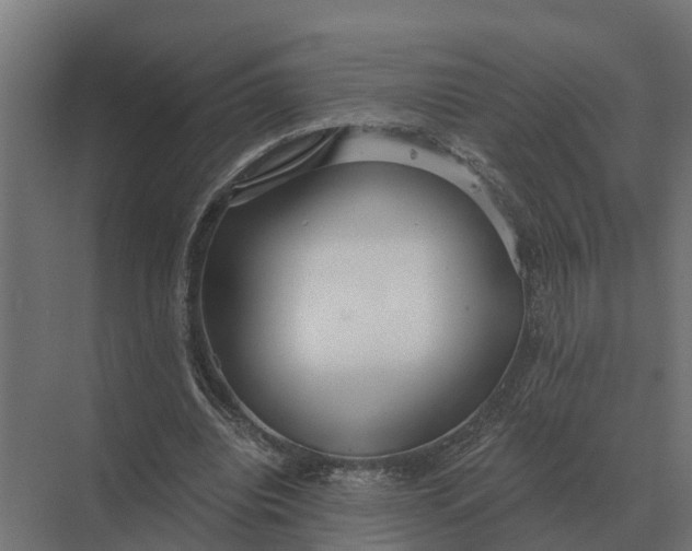 X0000069810440200606021509