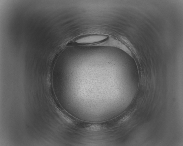 X0000069810441200606021509