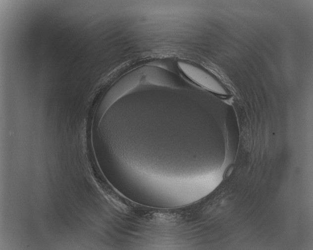 X0000069810442200606021509