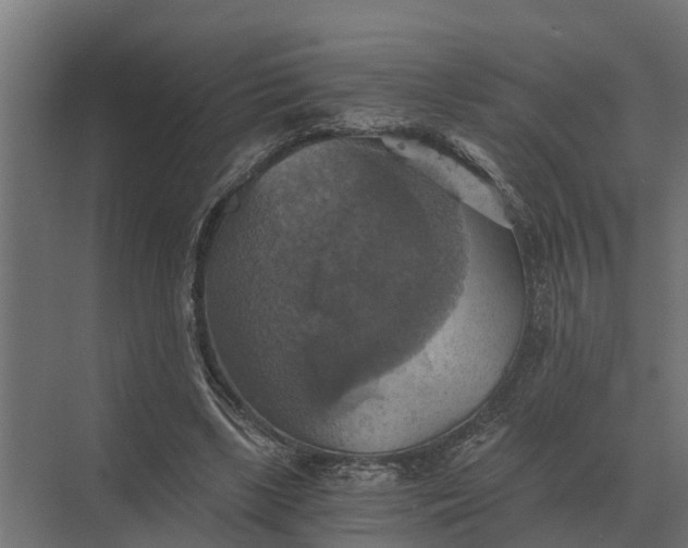 X0000069810443200606021509