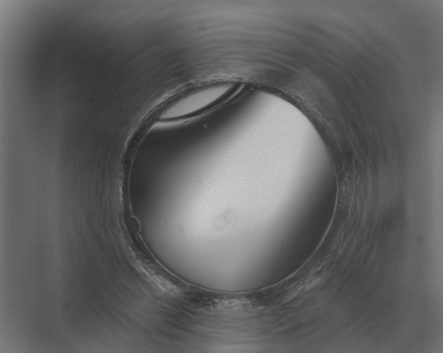 X0000069810446200606021509