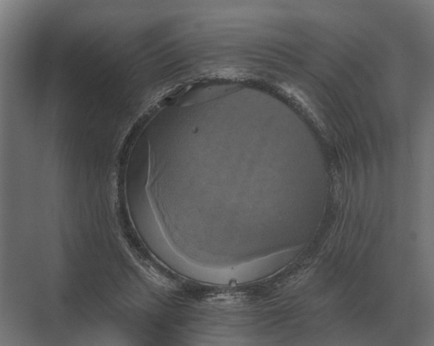 X0000069810447200606021509