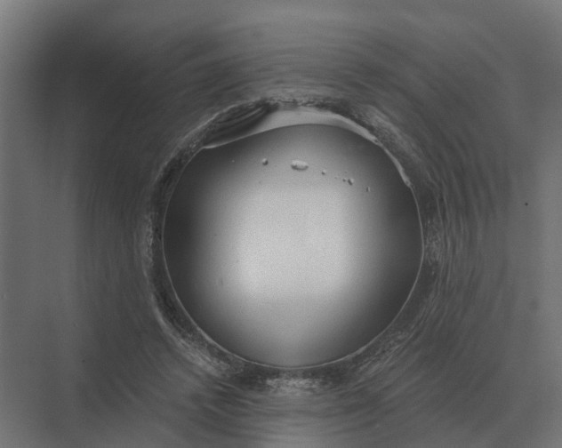 X0000069810448200606021509