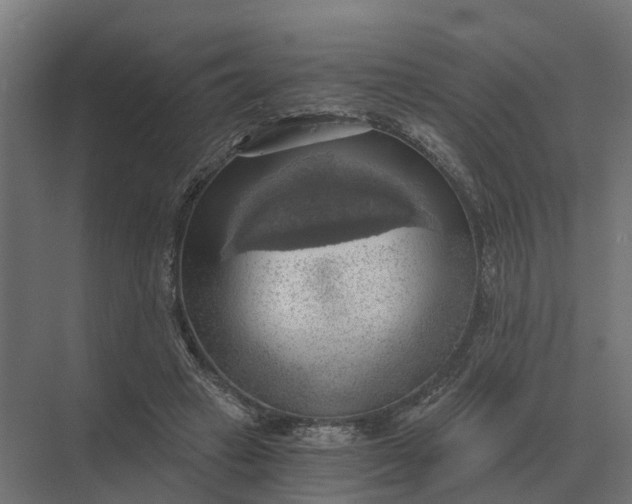 X0000069810449200606021509