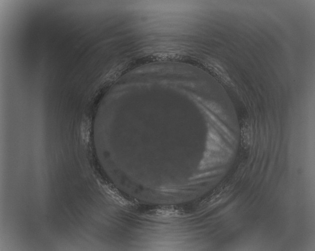 X0000069810458200606021509