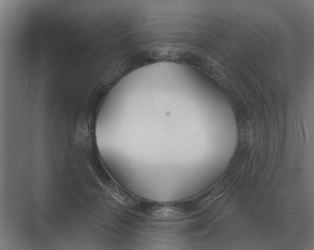 X0000069810460200606021509