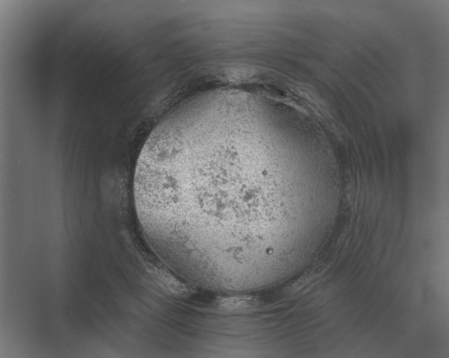 X0000069810461200606021509