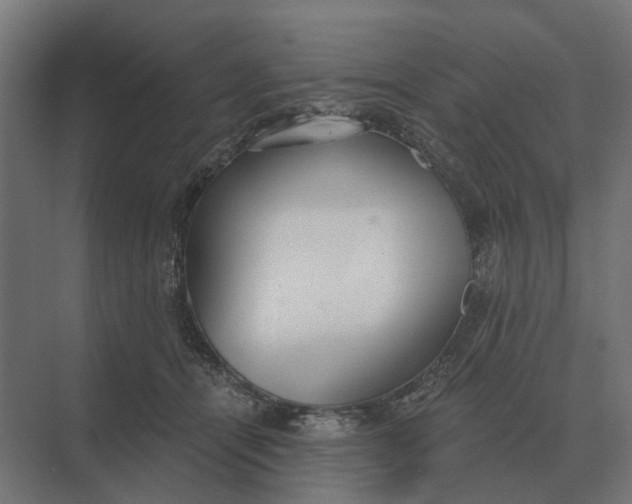 X0000069810464200606021510