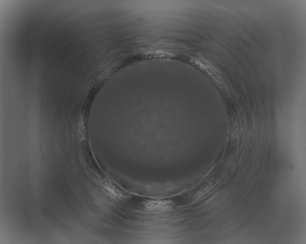 X0000069810465200606021510