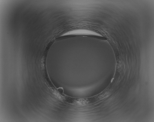 X0000069810466200606021510