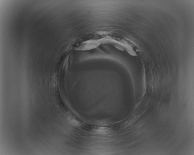 X0000069810467200606021510