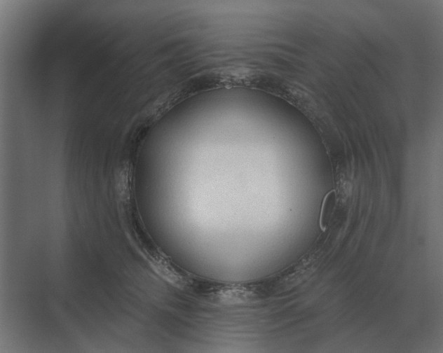 X0000069810468200606021510