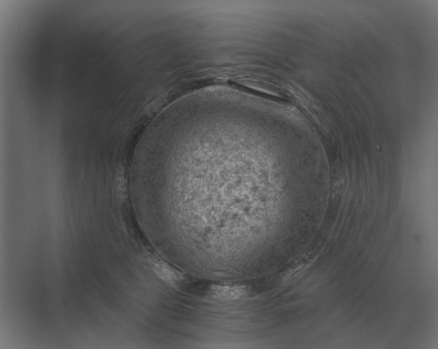 X0000069810469200606021510