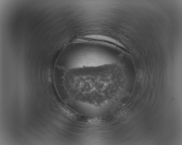 X0000069810470200606021510