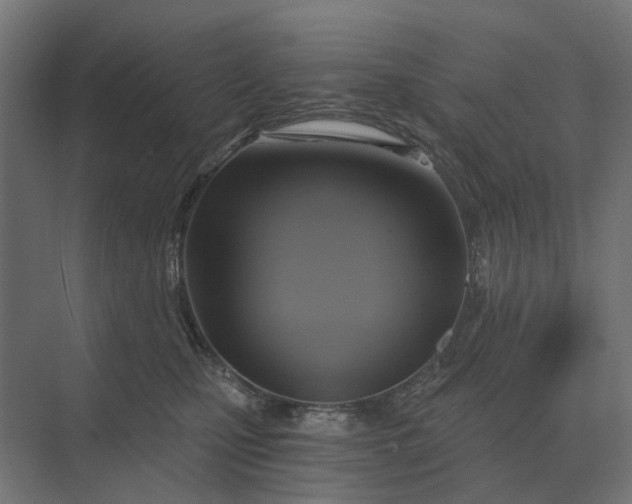 X0000069810471200606021510