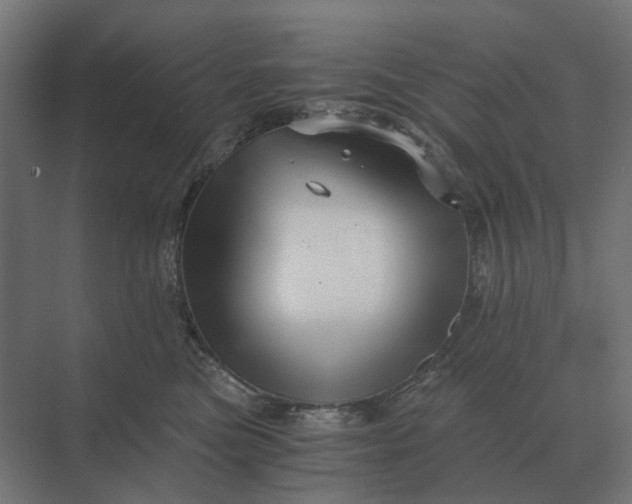 X0000069810473200606021510