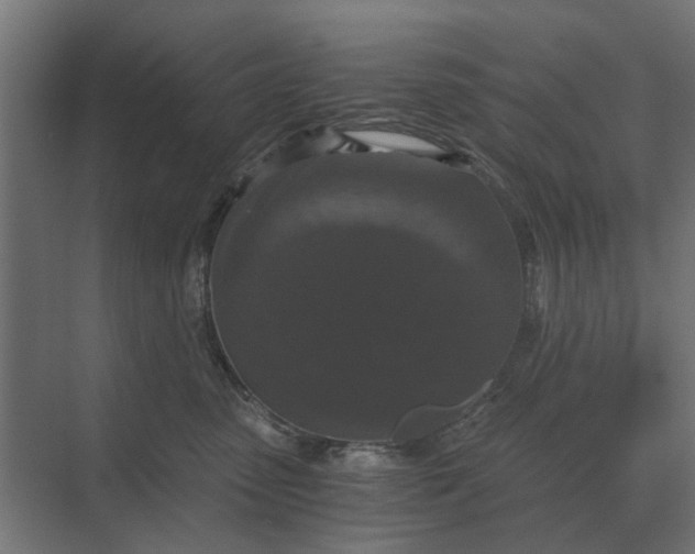 X0000069810475200606021510