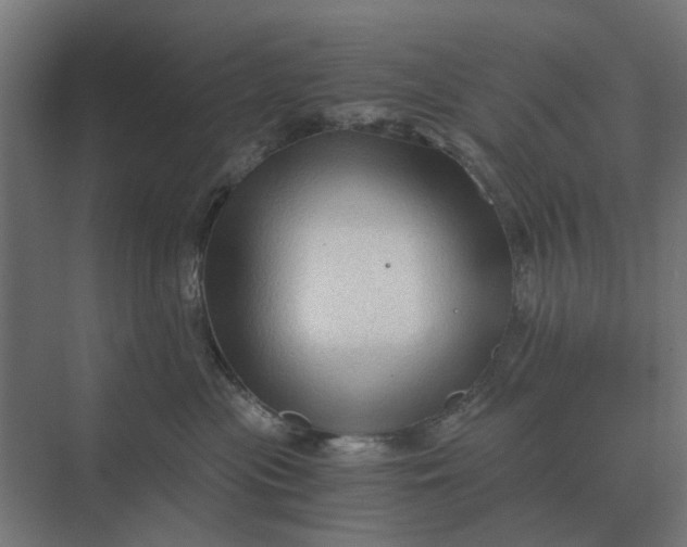 X0000069810477200606021510